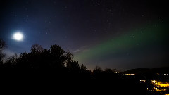 Norwegian Dream