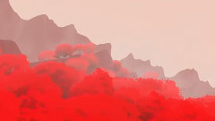 小红帽逆袭