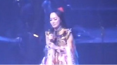 小树和大树