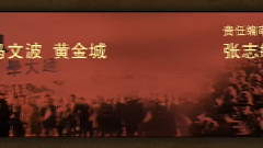 影视原声 - 解放