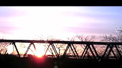 初音未来 - 朝露