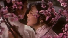 影视原声 - 庄稼夫妻