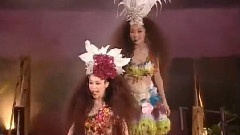 作词人的错