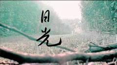 日光