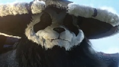 Mists of Pandaria