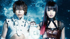 Preserved Roses