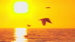 Pink Floyd - Wish You Were Here