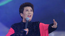 德德玛《美丽的草原我的家》 现场版