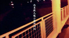 My Little Airport - My Little Airport 《九龙公园游泳池》 歌词版
