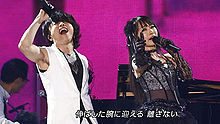 Preserved Roses 现场版