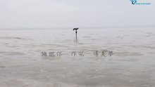 流浪者之歌 歌词版