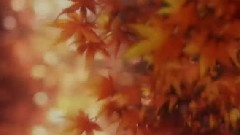 そしていま