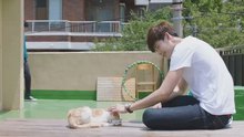  - 《屏息》之元日失声痛哭