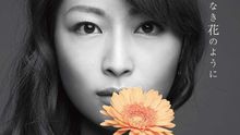yu-yu - 名もなき花のように
