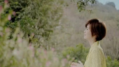 世间的美丽