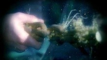 Written In The Stars