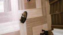 Ever Present Past