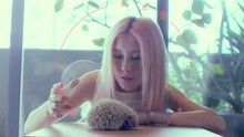 白安 - 白安 - 安慰