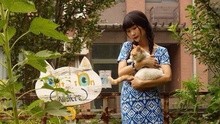 龙宽 - 龙宽工作室第二次开放日预告