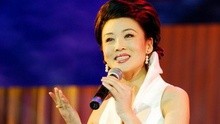 韩再芬 - 韩再芬 - 树上的鸟儿成双对