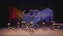 2014世界舞蹈大赛 夏威夷 Academy Of Hype