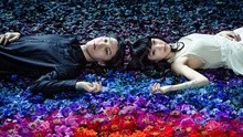 トラストリック - トラストリック -いつかの果て