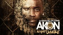 阿肯 - Akon - Salute