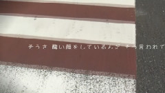 初音未来 - A Little