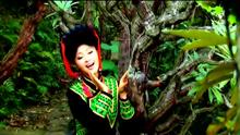  - 乐美奇音-索玛花开