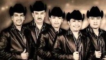 Latidos