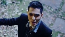僵尸全明星