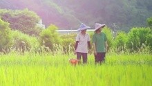 以莉·高露 - 美好时刻