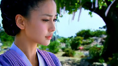 影视原声 - 电视剧<云中歌> & 电视剧<宫锁连城>