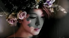 BoA - Dangerous & Hurricane Venus