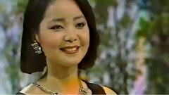 邓丽君 - つぐない
