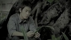 榕树