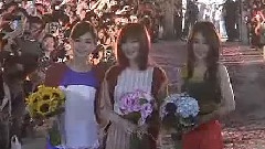 花又开好了