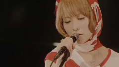 茎