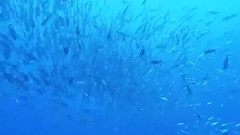 小桥流水