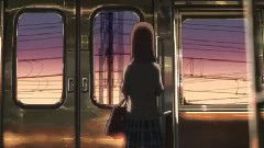 清明樱花祭