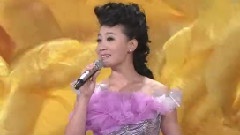 中国年