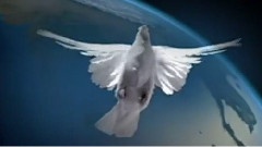 Angel Of Hope