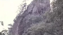 影视原声 - 满园春意在何处