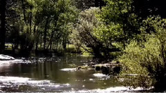 Fontaines De Beaute