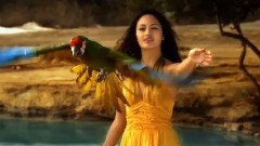 Jai Envie De Toi