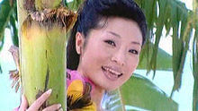 李丹阳《绿色童话》