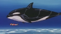 Sea Loves You