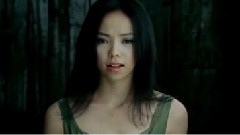 张惠妹 - 不在乎他