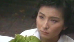陈淑桦 - 美丽与哀愁