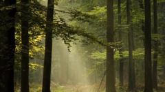 La Source d'Emeraude